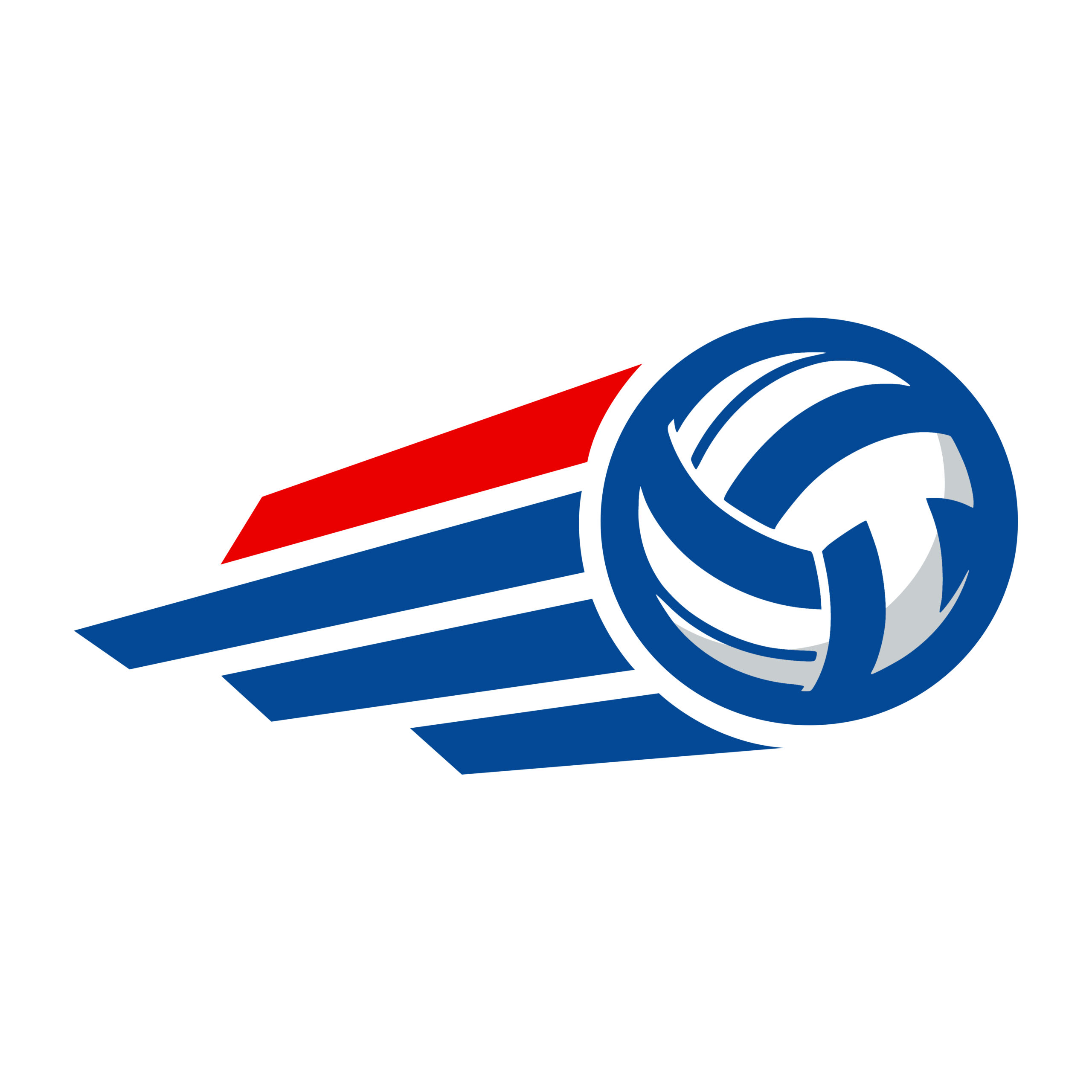 VOLLEYBALL LOGO
